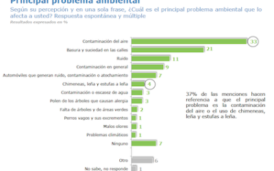 Principales problemas ambientales: contaminación del aire, basura y ruido