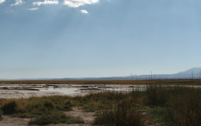 Estudio UC: Petorca y La Ligua, las comunas con mayor riesgo de desastres por cambio climático