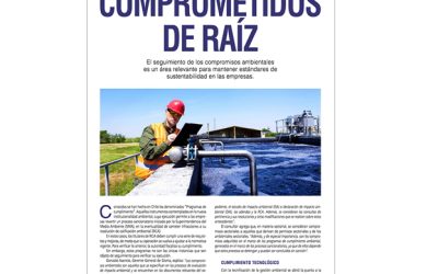 Cumplimiento de Comp. Ambientales y su relevancia para la sustentabilidad