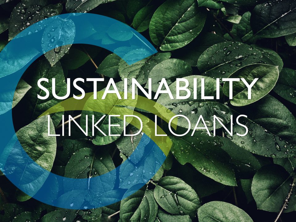 Sustainability Linked Loans